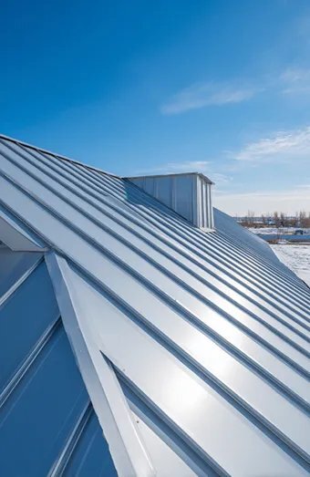 Standing Seam Metal Roofing X
